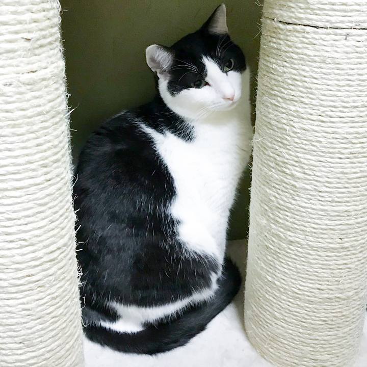 C0296355 8d88 415e 9fd3 cdbfeb9c357c 1520558443954