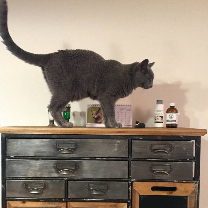 C029a530 e8c6 40b5 a86e 87cf003c9451 1533078650088