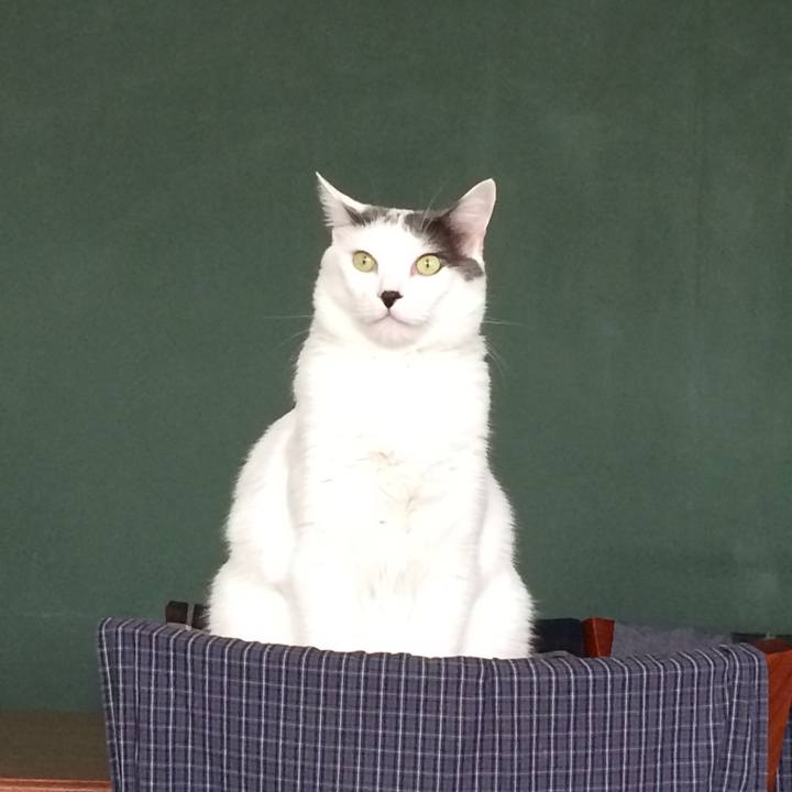 C029d7dd 830c 4490 b550 39c54132f7a7 1529431328838