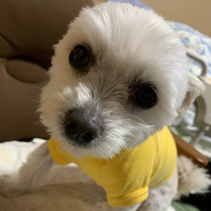 C029dd09 91ac 4043 8292 1d4720e13d44 1584354199188