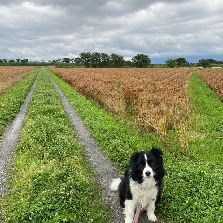 C029fe05 f30e 4b98 b85e d595fe208d5c 1621564911364