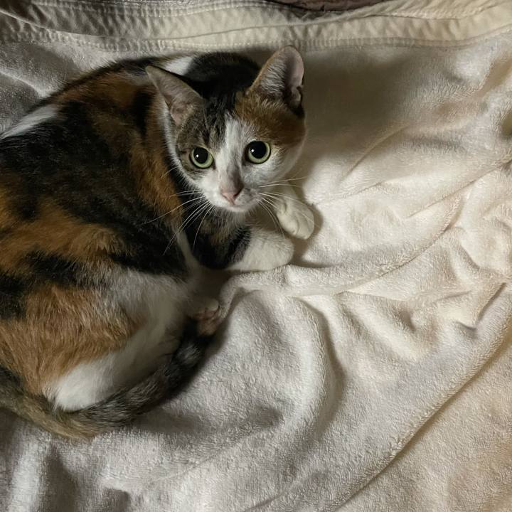 C02a0049 daee 4524 be32 f6984d47ecf5 1633687988825