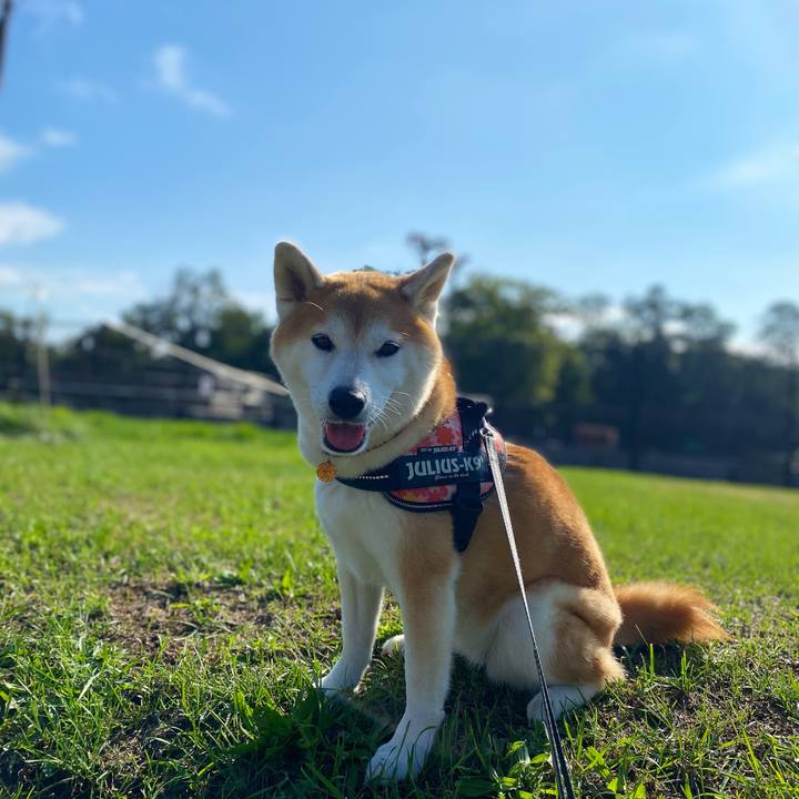 C02a17a4 e70e 4384 bf71 e92016cfe9bc 1630898761970