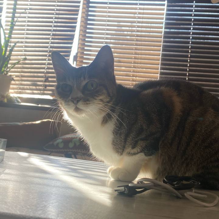 C02a3b60 b5b1 4c25 97bf e1d109fb16da 1670116257293