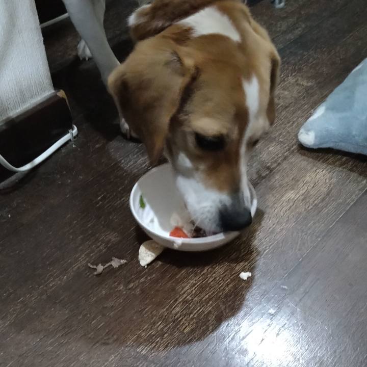 C02a4138 4e7f 4cff 8ab6 77c6577fa6f9 1617367931947