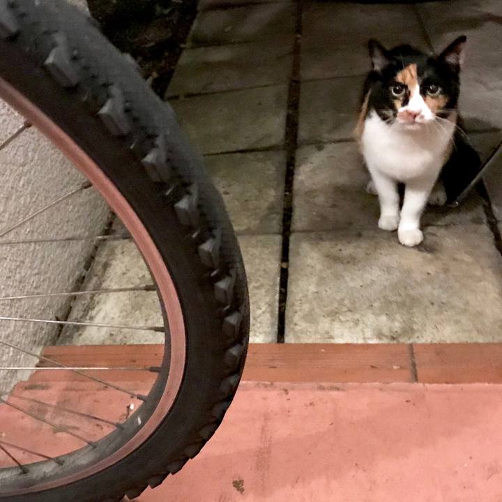 C02a5d15 ea71 4239 8412 95f5ef97f61c 1538529077175