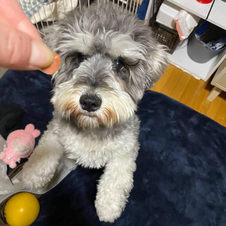 C02a8670 e3d6 4c2a 82bd 256aac25c322 1588000523658