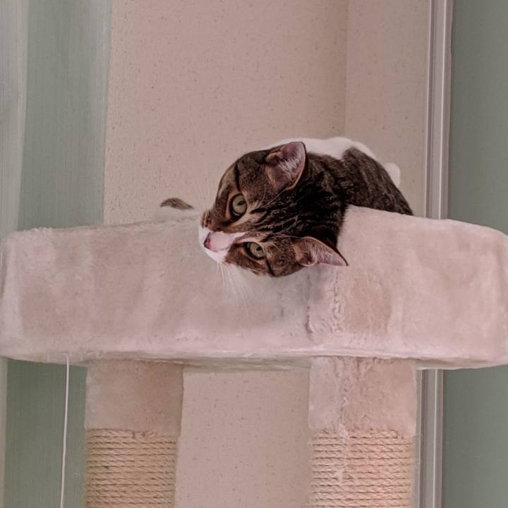 C02a9ee8 8647 4bf4 93ba 43f576ab8bd1 1555545453188