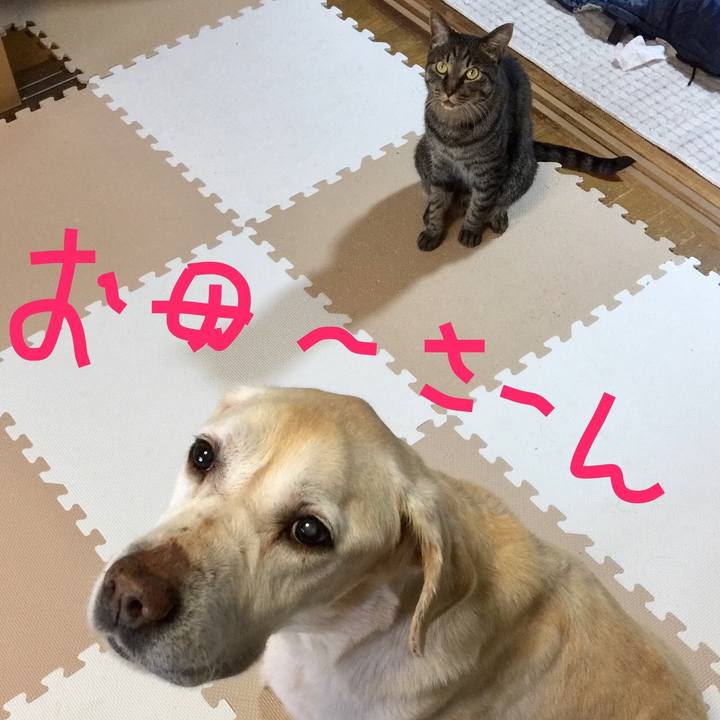 C02aa589 5d2c 4387 94f0 aac0cbfd1d9c 1554706243478