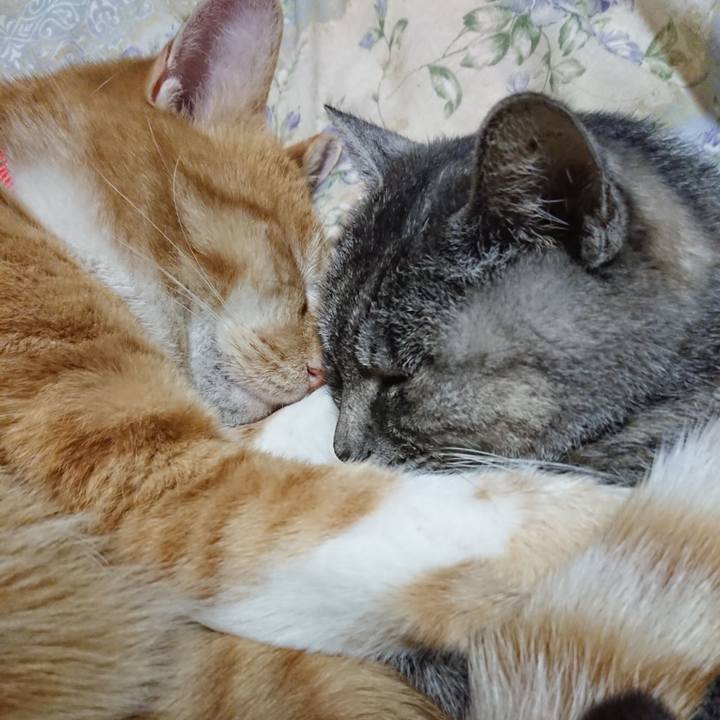 C02aadc4 2077 4a66 87e8 8118a3bfb731 1576067749167