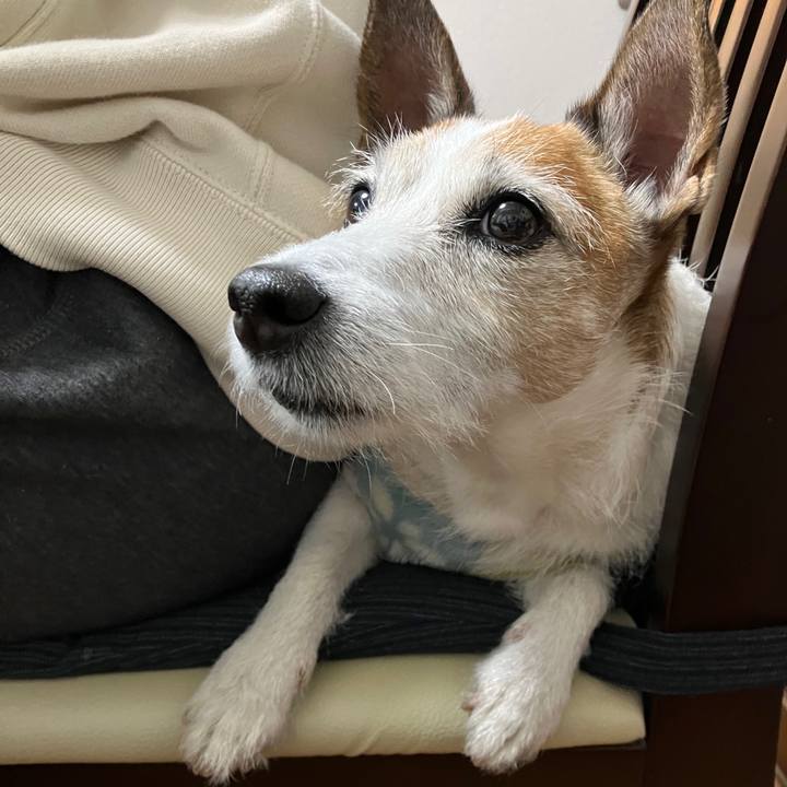 C02ac966 4a32 4b27 8807 17f9a5435637 1703902055403