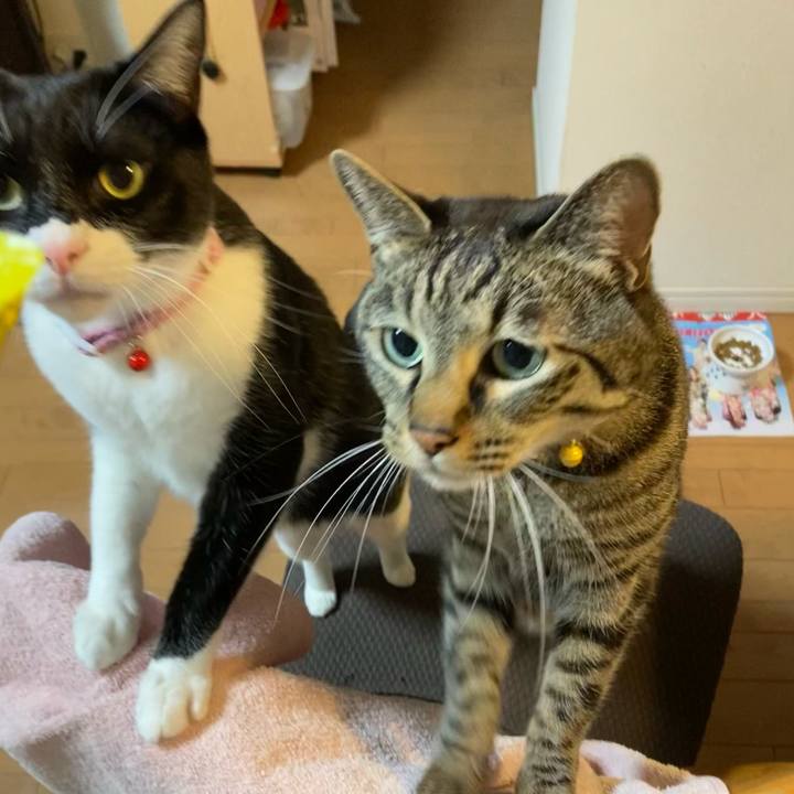 C02b3843 f4fc 4e75 8ca4 4a2564b42b50 1616942948245