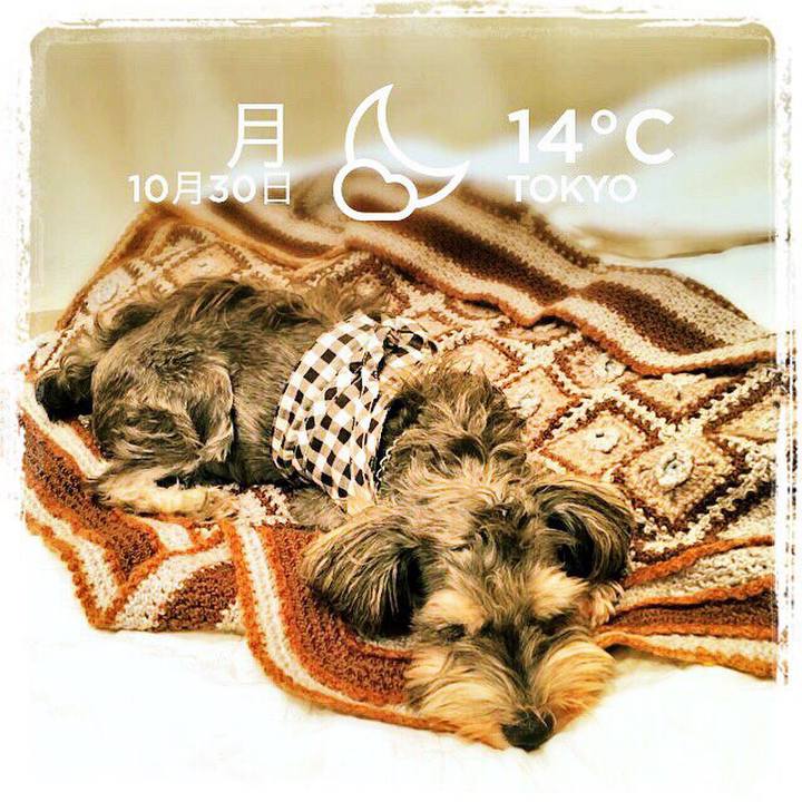 C02b3d38 38a4 4336 ad4e 02fef4397341 1509368570245