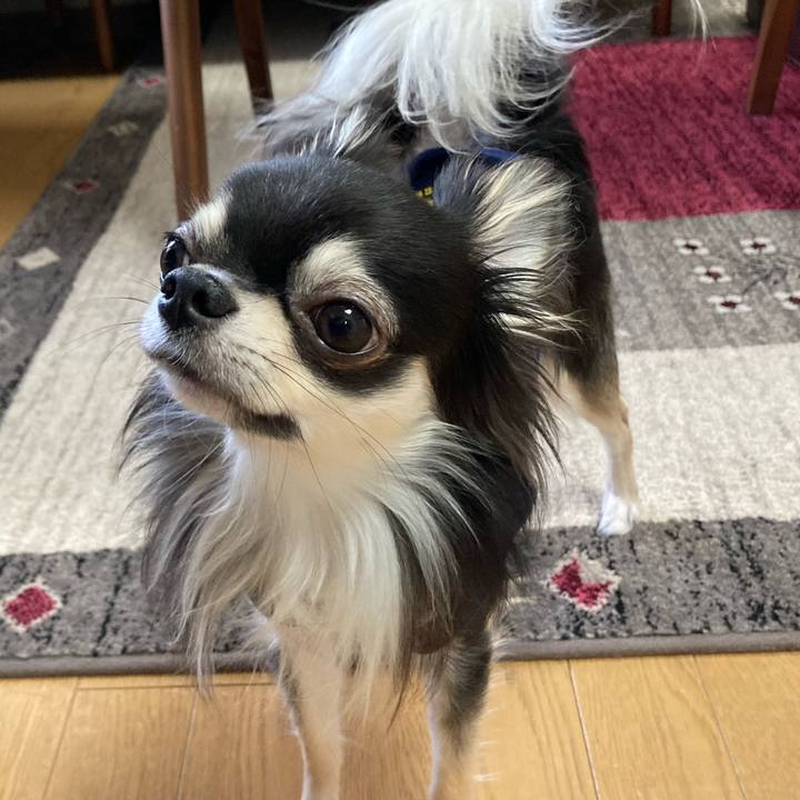 C02b6b41 6897 499b b2c7 bed4cf3c8fc1 1616885426656