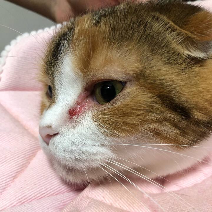 C02be653 01af 4613 aa1f d760e4233750 1624888554210