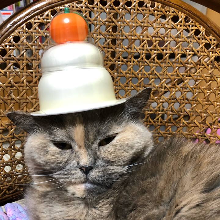 C02bf54b d1f9 4d6c 8f9f f9b4b20f1bbb 1673788671517