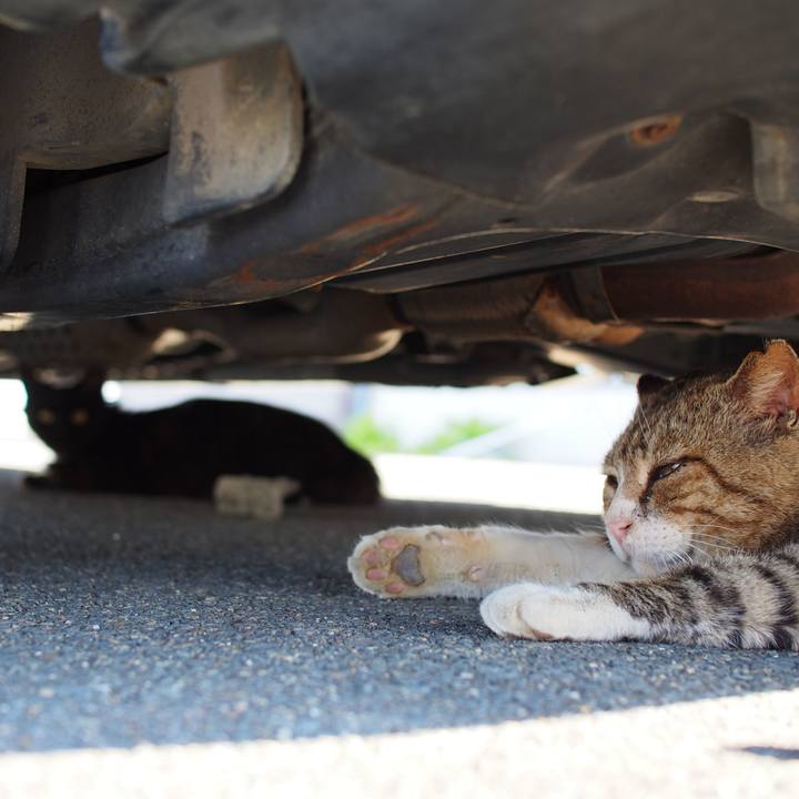 C02c0229 f8b5 4ad0 b9d5 8793e83d394f 1555332774321