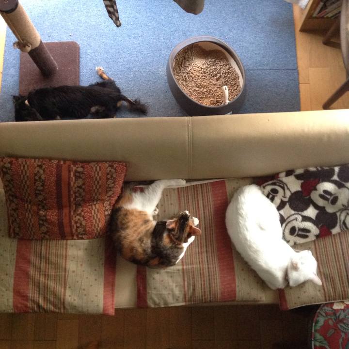 C02c37a9 b8d9 4a6e b023 b9df2ade5ad4 1636700320282