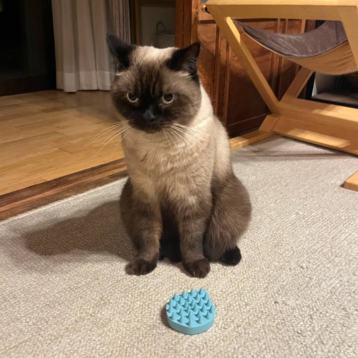 C02c7751 40eb 49f3 a69f 181d07208433 1759834757376