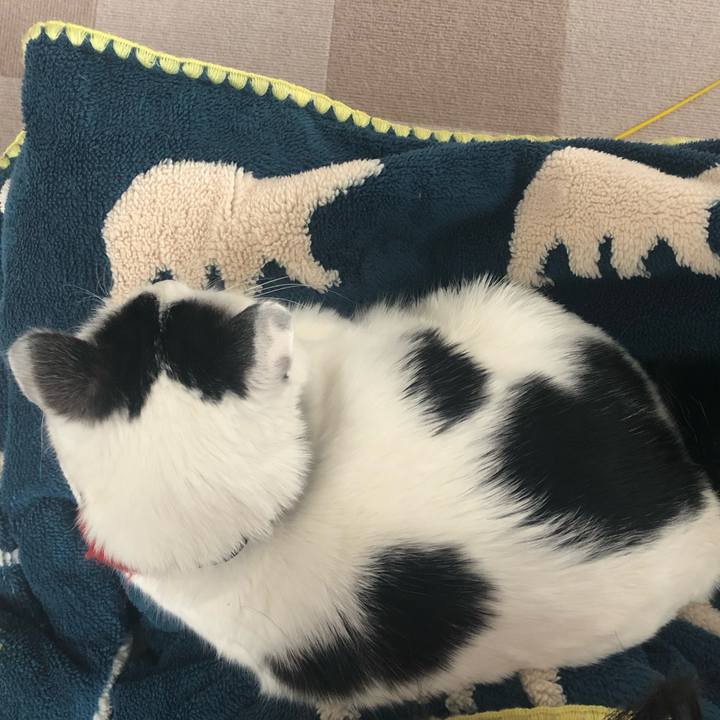 C02c997a 8172 4259 9e29 326f316c5ca6 1549679842792