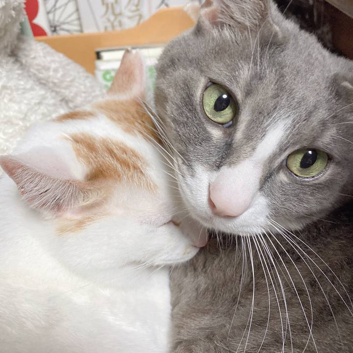 C02ca7ea 2893 48de ac51 fc64b1d16b85 1647685451843