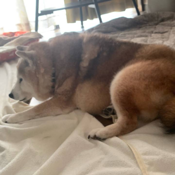 C02cbab8 1760 466d 9837 d97ac8558c18 1693723633303