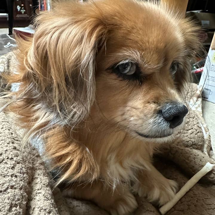 C02cec86 9a16 4489 9f65 909af9030dac 1733821356290