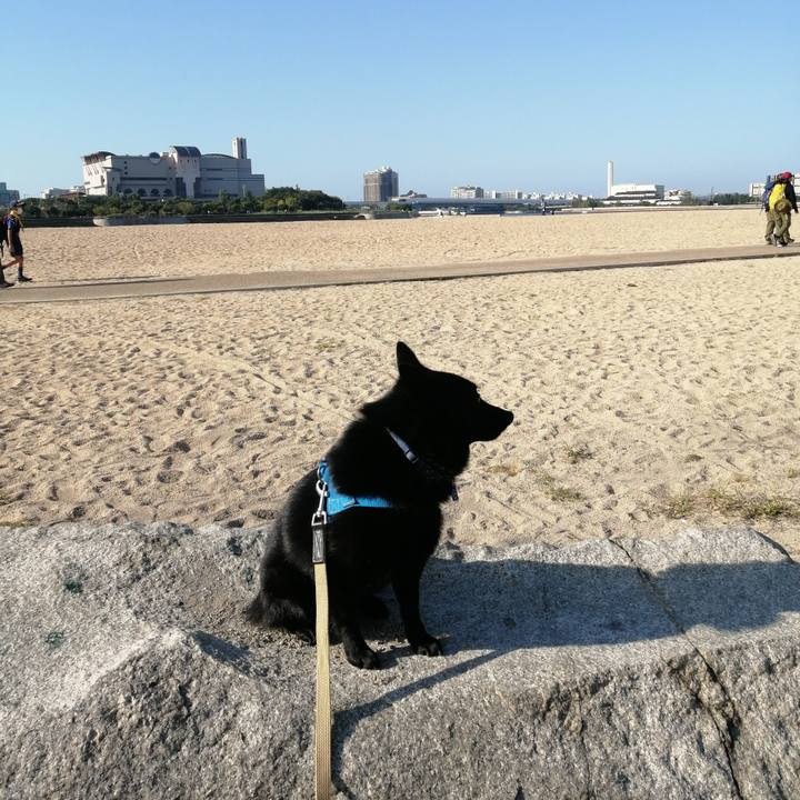 C02cfabf b83a 44c0 a18e 6296b10c1937 1633216628460