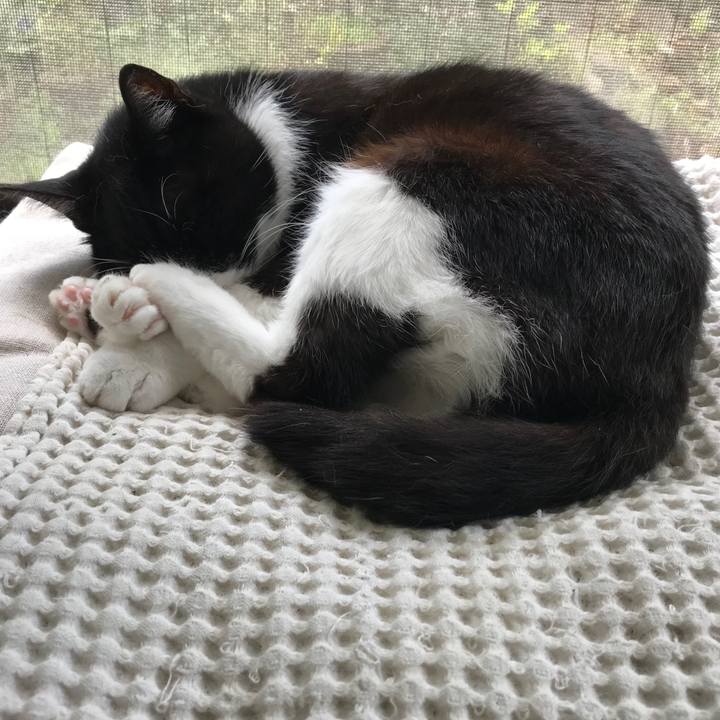 C02d07fc a813 4fb4 87ff 1061e1eb4f10 1524713881495