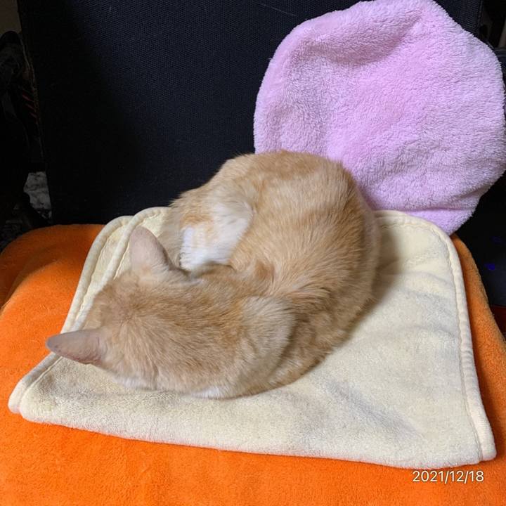 C02d7385 bdfd 4193 9b9e 125a3ea9d247 1639830055927