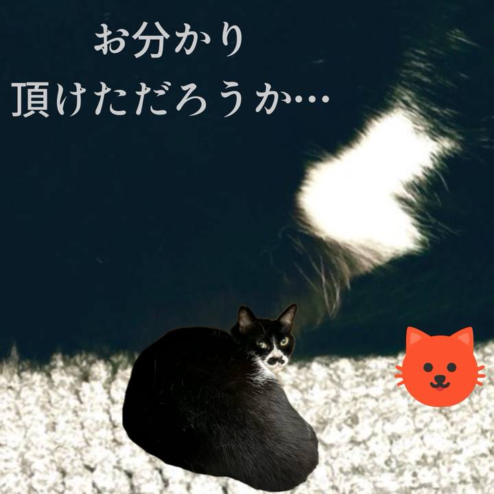 C02d84b5 3b0b 4f94 b1ba 0dd855ff9f4f 1717928811399