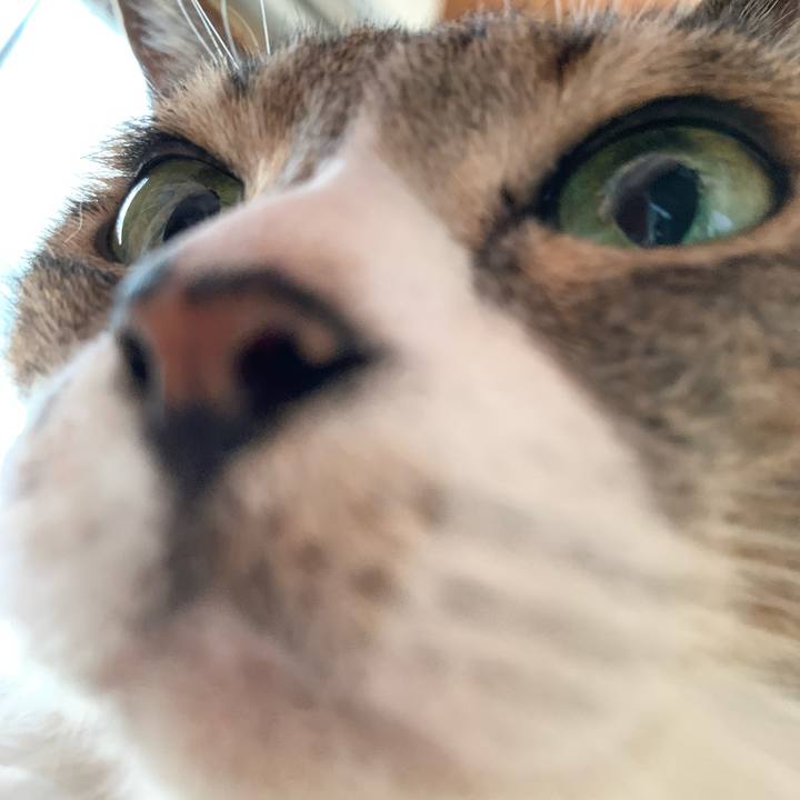 C02d9ccb 8134 4b4f 8f15 c0bd445fb307 1597452533485