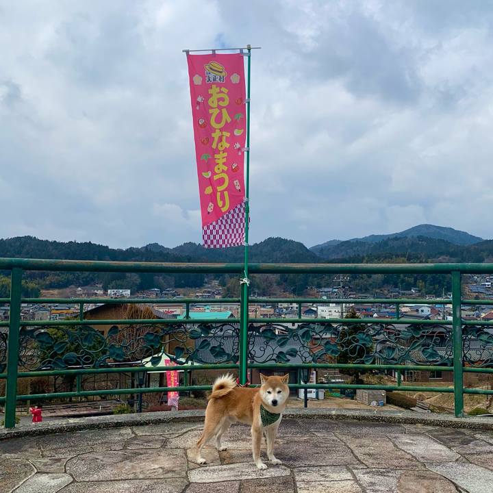 C02dfc01 daff 4bc0 b099 da8da4f1afdd 1645958685515