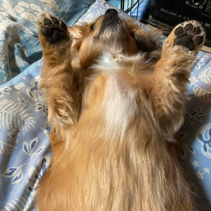 C02e14fa 2b12 4830 ab14 4fa1aca107c7 1610486560895