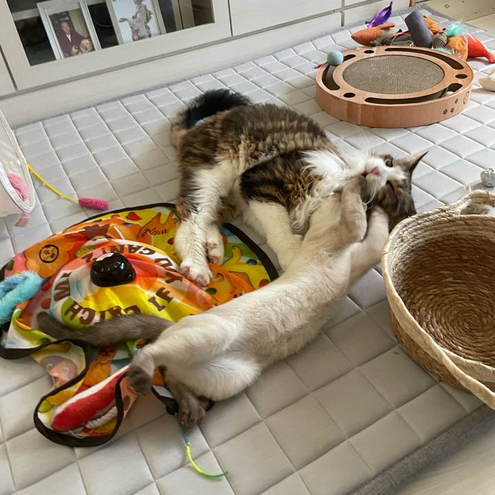 C02e2ac9 1f66 4f20 a269 bf0cde133a39 1694643058850