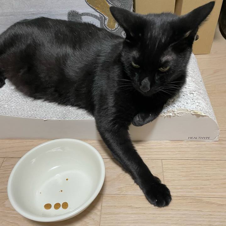 C02e6b99 49a7 4ba4 864c 847b0dbc770b 1658578836112