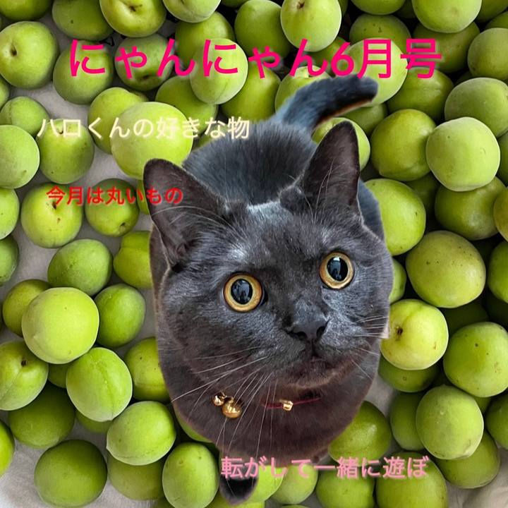 C02eba3c d605 40db 92f6 1e38ed5f1d9d 1748751316524