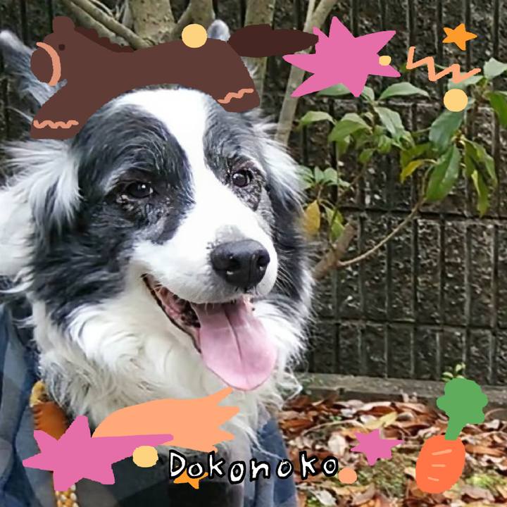 C02f1142 d809 4d43 8509 2e90cd39df47 1772501138284