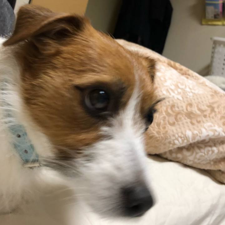 C02f5c81 f08a 4e98 9297 8bf3f8d3069d 1519547450822