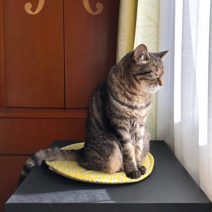 C02f9b0b 7d1c 4aeb b5f9 589376d51817 1764896702491