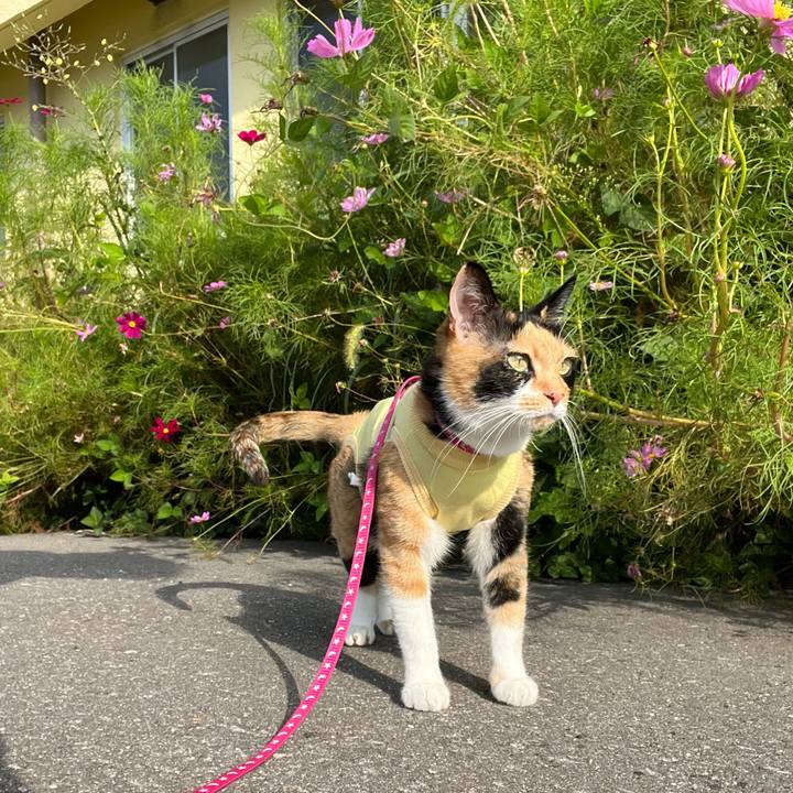 C02fa051 2f78 4c6a 8558 3a8de51315a7 1660396222349