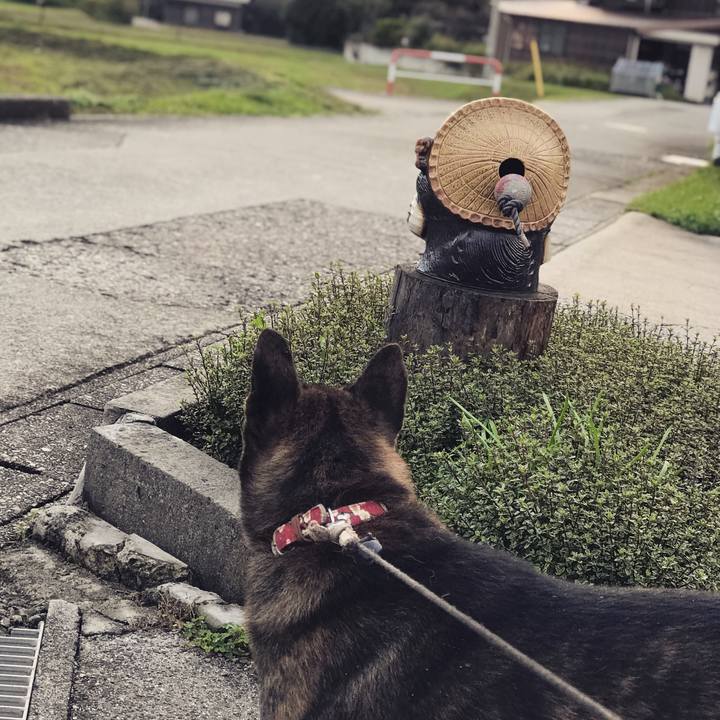 C02fae7f 023c 4b63 8598 e4a479620ba5 1538042123508