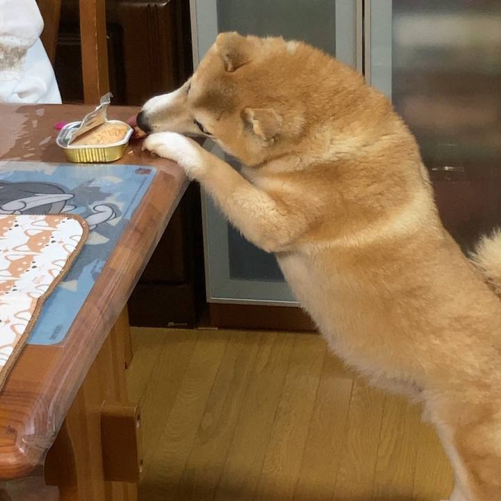 C02fca05 5691 47b5 8135 2ffeef167205 1622946841095