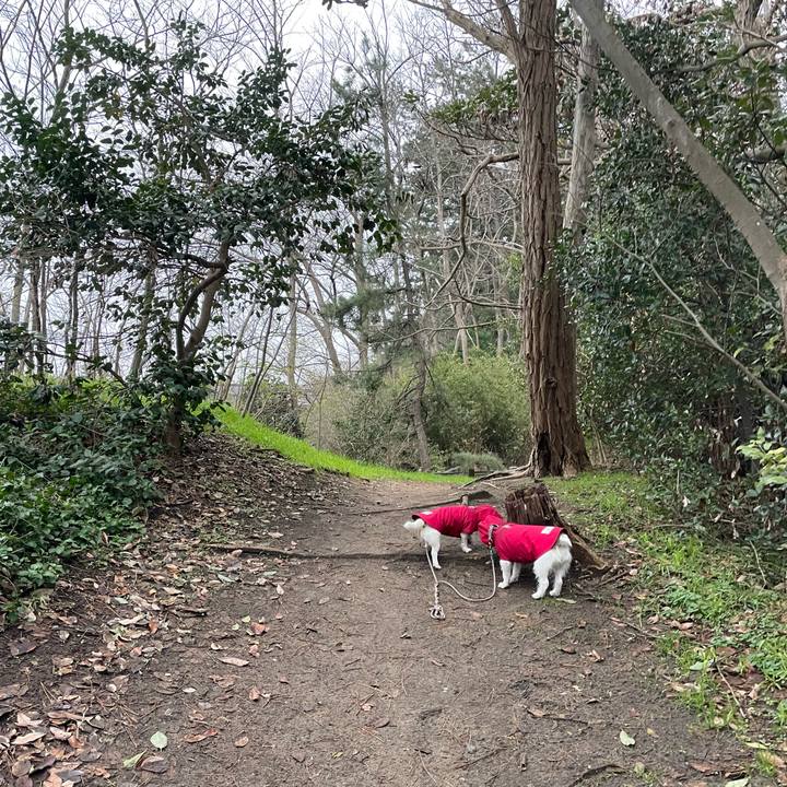 C02fcbbf 689d 47d4 9ae3 4ed0647f391c 1705103394710