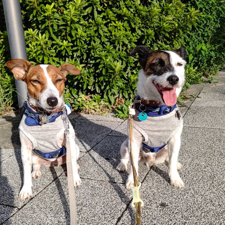 C02fd529 db78 4bfa 89e4 ffcebf264686 1631053403315