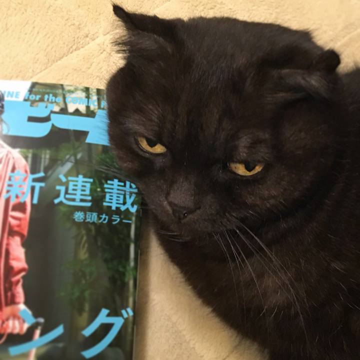 C02fe6ac 090f 446a 8cd8 f7d8cb95f6ec 1513290609872