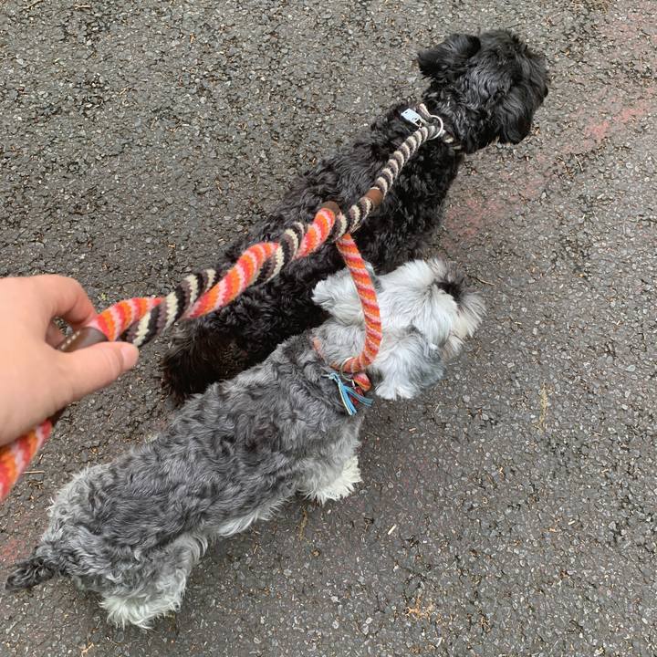 C0300882 77eb 450d a043 e11d22eff24a 1589095681663