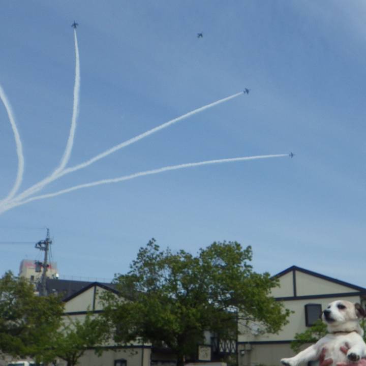 C0302f01 23ef 4eb9 af34 fbb79f85ab44 1619089442006