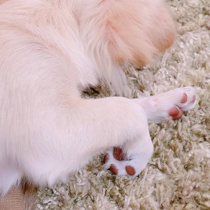 C03035d8 2dfd 4f14 ab21 6f4264002ddc 1596106711209