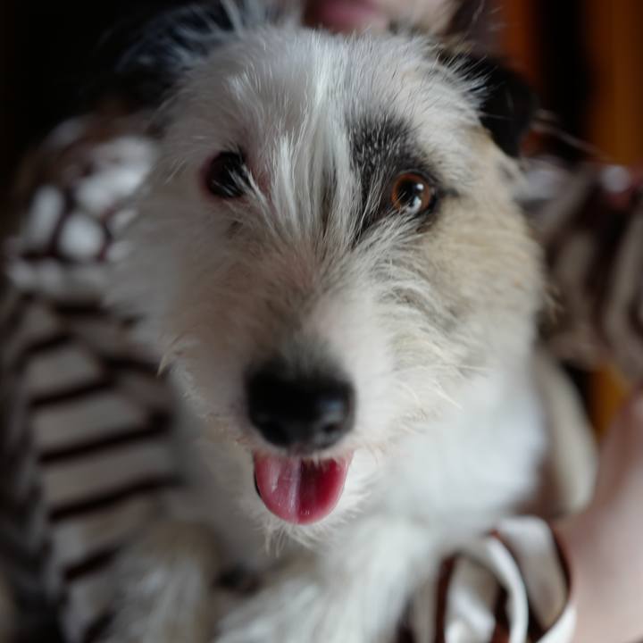 C030360e fa49 4689 9e8a 885cbd0a71a1 1525048444785